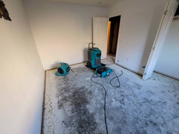 Best Water damage restoration near me  in Homestead Meadows South, TX