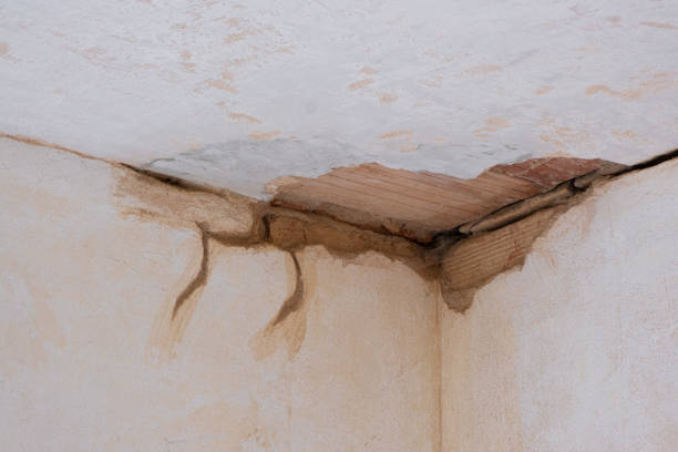 Best 24-hour water damage restoration  in Homestead Meadows South, TX