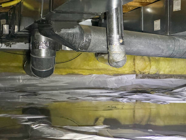 Best Commercial water damage restoration  in Homestead Meadows South, TX