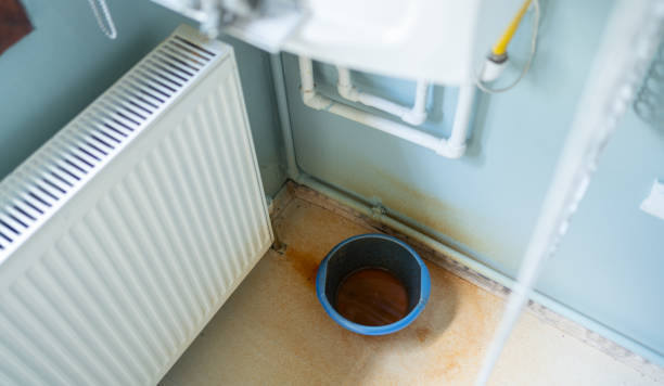 Best Flooded house restoration  in Homestead Meadows South, TX