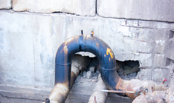 Best Water damage restoration near me  in Homestead Meadows South, TX