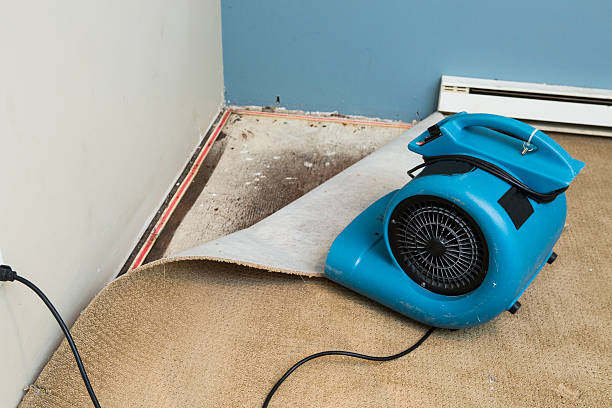 Best Residential water damage restoration  in Homestead Meadows South, TX